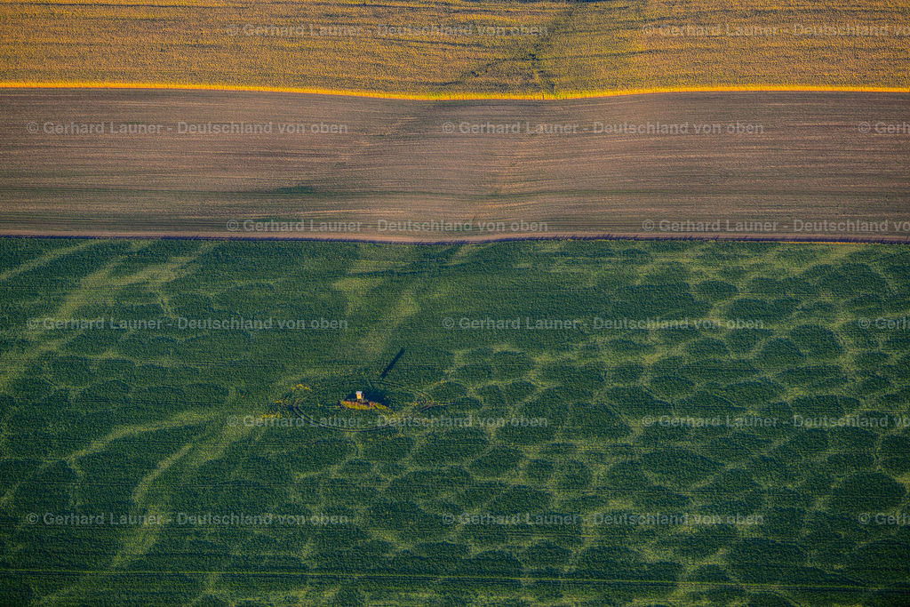 3638570 | Hochstand, Feldstrukturen bei Fienstedt
