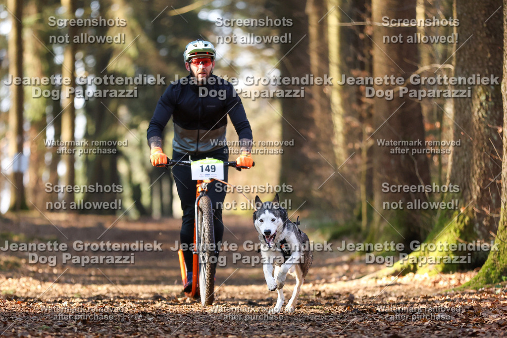 Dog Paparazzi - VCC26-884 | Dog Paparazzi Jeanette Grottendiek Fotografie & Videografie - Realisiert mit Pictrs.com