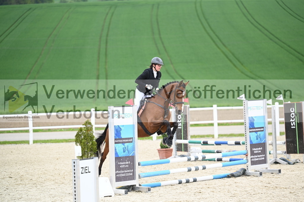 DSC_1974 | equestrian-live-com