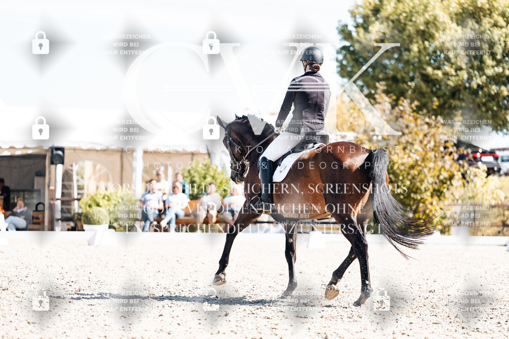CK909740 | Turnierfotografie Pferdefotografie Trier Rheinland-Pfalz Pferdesport Reitsport Tierfotografie Sportfotografie Pferdevideo Pferdevideografie Equestrianvideography equestrianphotography  - Realisiert mit Pictrs.com