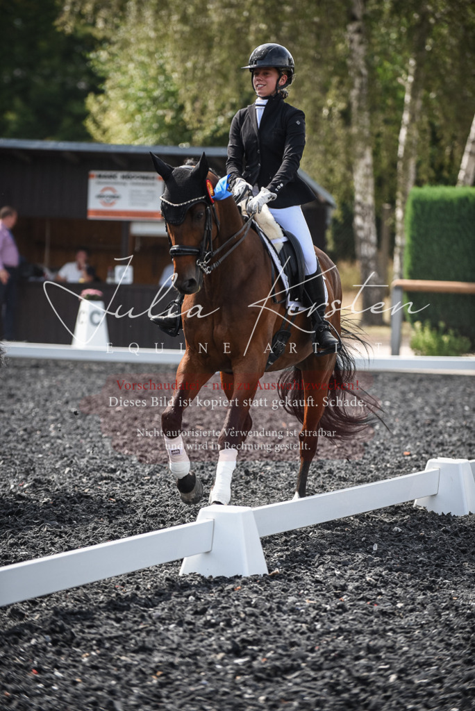 DSC_5180 | Pferde- und Turnierfotografie in Westsachsen. Pferdeportraits, Auftragszeichnungen und intuitive Kunst.