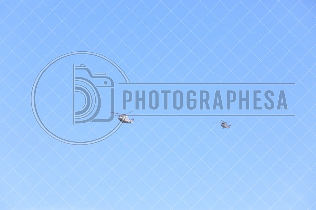 IMG_8828 | photographesa-joergens - Realisiert mit Pictrs.com