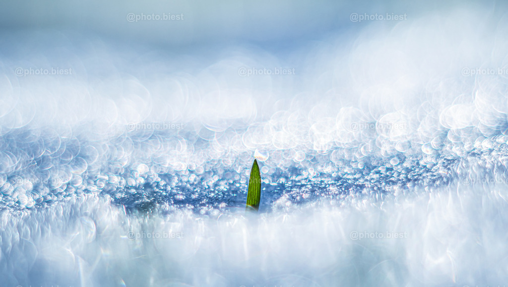 Segelboot im Eismeer | Grashalm unter Schnee und Eis verborgen. - Realisiert mit Pictrs.com