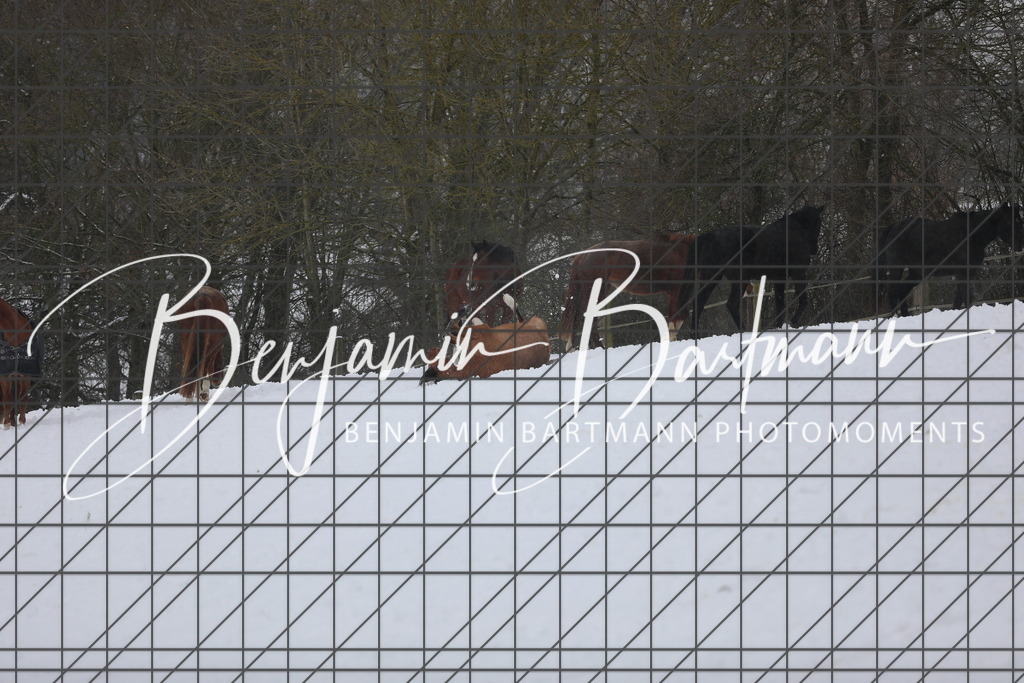 AZ2A3407 | Benjamin Bartmann Photomoments