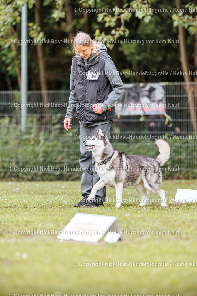 RO-Blumenthal-2026-Nickbest-Hundefotografie-1296 | Dein Hund! Dein Moment! Deine Erinnerungen! Hundefotografie in Bremen Blumenthal. Ich fange die besonderen Momente deines Vierbeiners ein – ob Indoor mit Blitzanlage oder in der freien Natur. Sicher dir dein Moment und dein Termin für eure Erinnerungen.