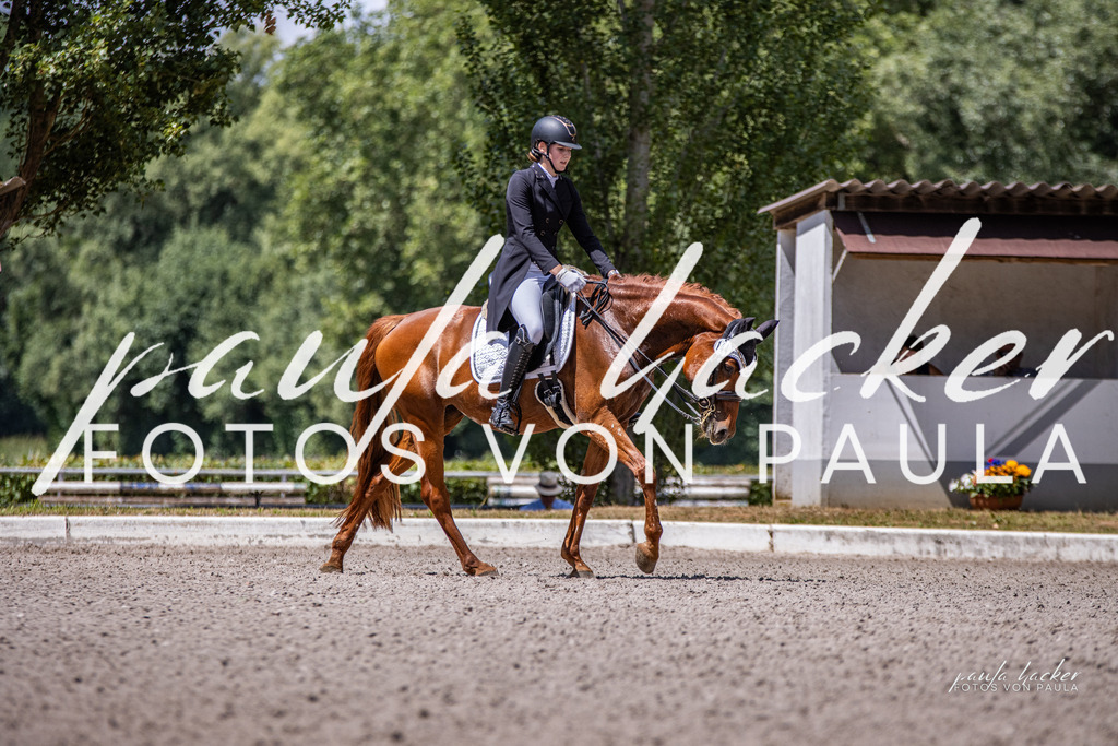 IMG_8200 | Erleben Sie dynamische Sport- und emotionale Tierfotografie in Süddeutschland mit Fotos von Paula. Spezialisiert auf Pferde- und Hundefotografie sowie Sportevents. Kontaktieren Sie mich für einzigartige und ausdrucksstarke Bilder Ihrer besonderen Momente.