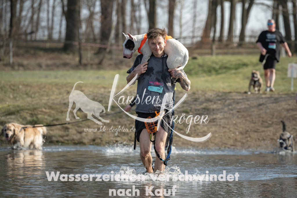 1332_ZZ96904 | kk-dogfotos