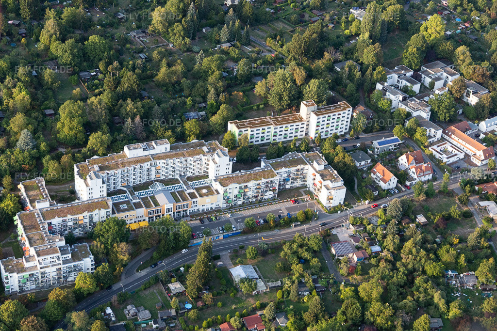 Luftbild: Budge-Stiftung im Ortsteil Seckbach in Frankfurt im Bundesland Hessen in Deutschland. Foto: IMG_117643.jpg vom 10.09.2019 durch Werner Riehm/FLY-FOTO.de