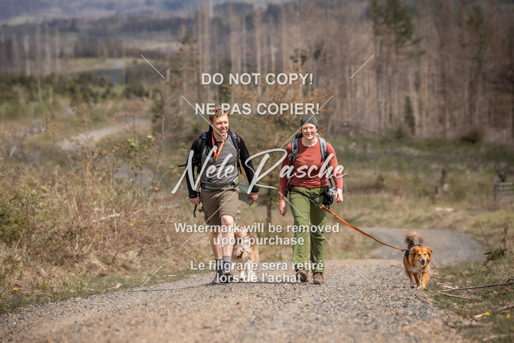 6Z1A1103 | nelerasche