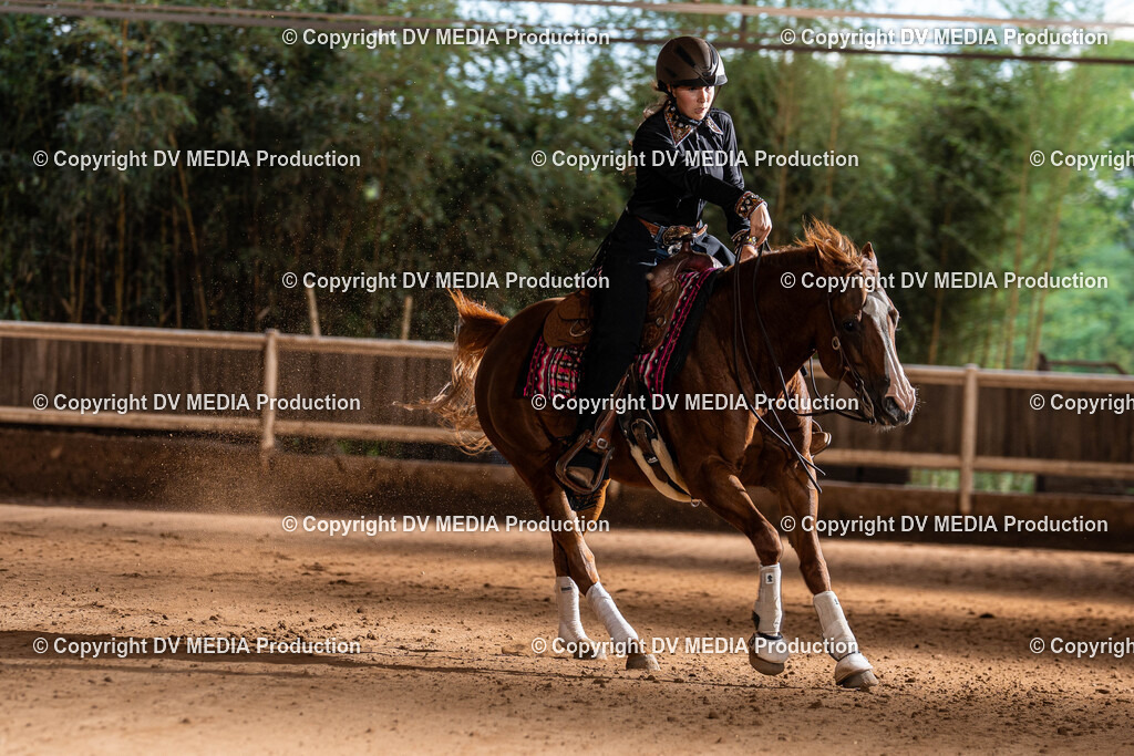 Erbach Tag 1-1230 | dv-media-shop - Realisiert mit Pictrs.com