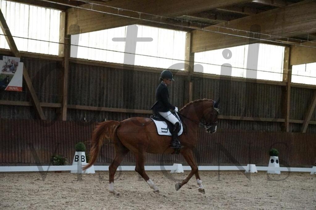 rsg berghof (240) | d.tail Visions - Shop - Realisiert mit Pictrs.com