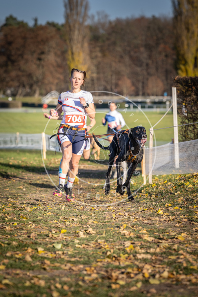 CaniXpix_DV3A1517 | Hundefotografie, Tierfotograf, Pfotenfotografie, Fotoshooting Hund, Hunde Portrait, Hundesport, Hundeportraits, Heideshooting, Hunde, Sportfotograf, Hundefotograf, Turnierhundsport, THS,  - Realisiert mit Pictrs.com