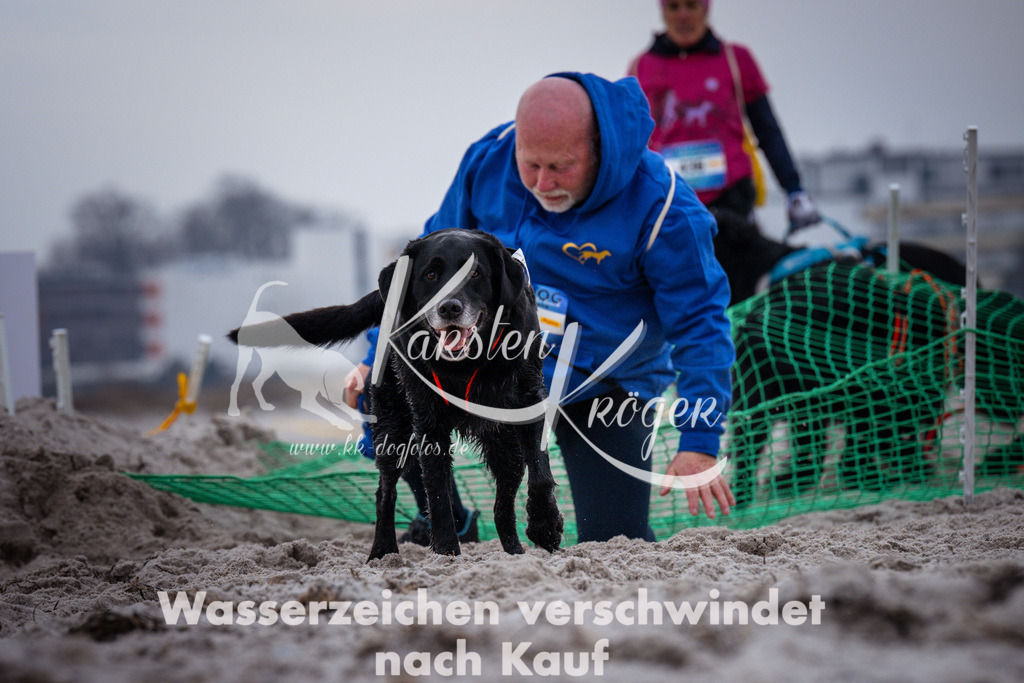 1217_ZZ93203 | kk-dogfotos
