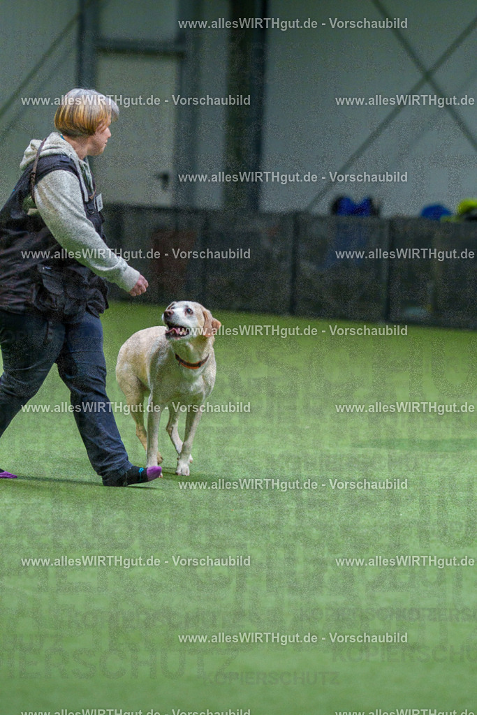 7R506338 | Professionelle Tierfotografie in Mönchengladbach von Daniel Wirth (allesWIRTHgut). Liebevolle & natürliche Bilder von Hunden & Katzen für unvergessliche Erinnerungen.