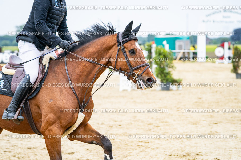 DSC07234 | Pferdegrafie