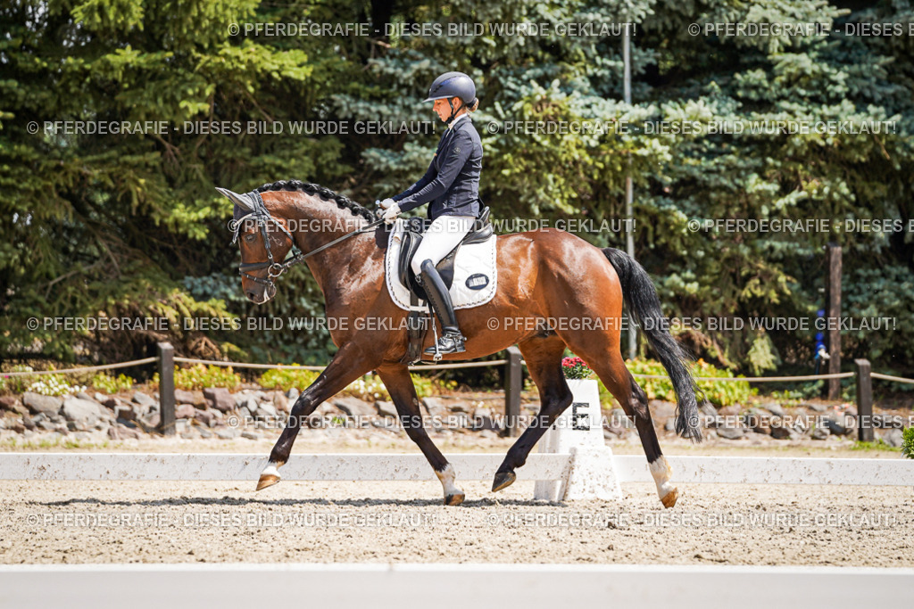 DSC01333 | Pferdegrafie