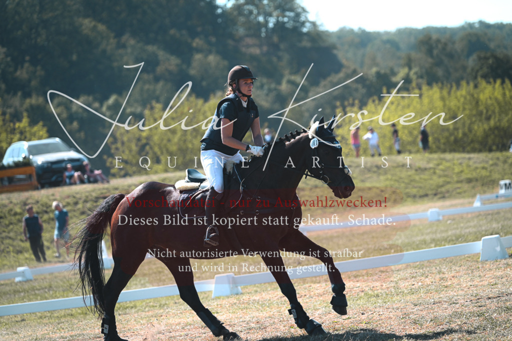 DSC_8046 | Pferde- und Turnierfotografie in Westsachsen. Pferdeportraits, Auftragszeichnungen und intuitive Kunst.