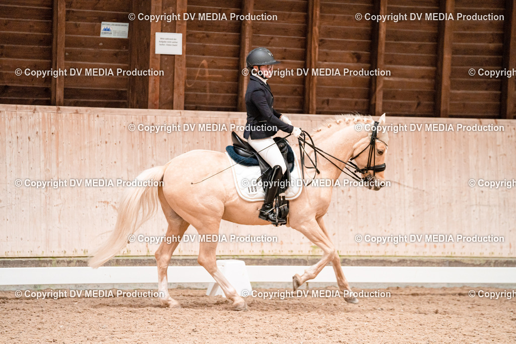 Dressur Tag 3-299 | dv-media-shop - Realisiert mit Pictrs.com