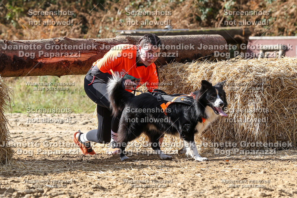 Dog Paparazzi - Strongdog 10-25-5394 | Dog Paparazzi Jeanette Grottendiek Fotografie & Videografie - Realisiert mit Pictrs.com