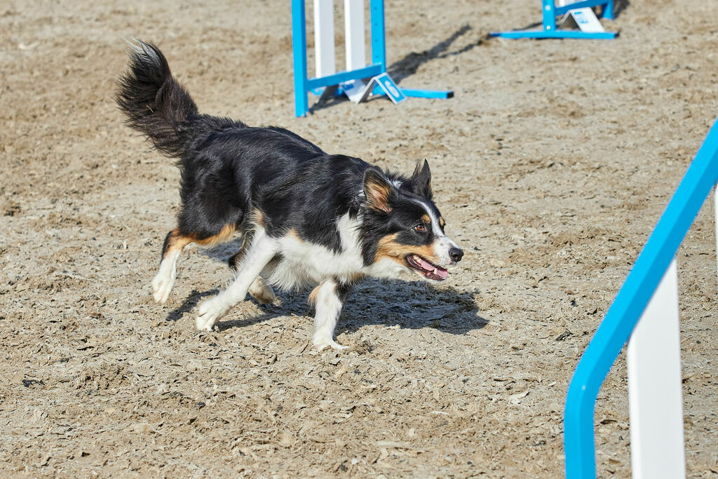 580A0060 | Peter Fridle Fotografie - Realisiert mit Pictrs.com