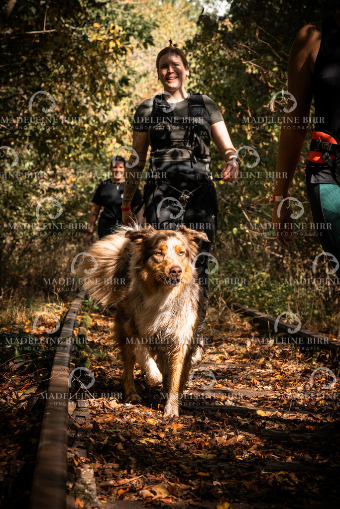 madeleinebirr.fotografie.2026.cc.hunsrueck.12-13Uhr.51 | hundefotografie-birr