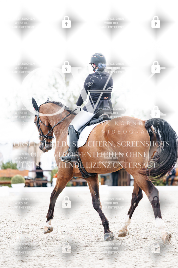 CK900886 | Turnierfotografie Pferdefotografie Trier Rheinland-Pfalz Pferdesport Reitsport Tierfotografie Sportfotografie Pferdevideo Pferdevideografie Equestrianvideography equestrianphotography  - Realisiert mit Pictrs.com