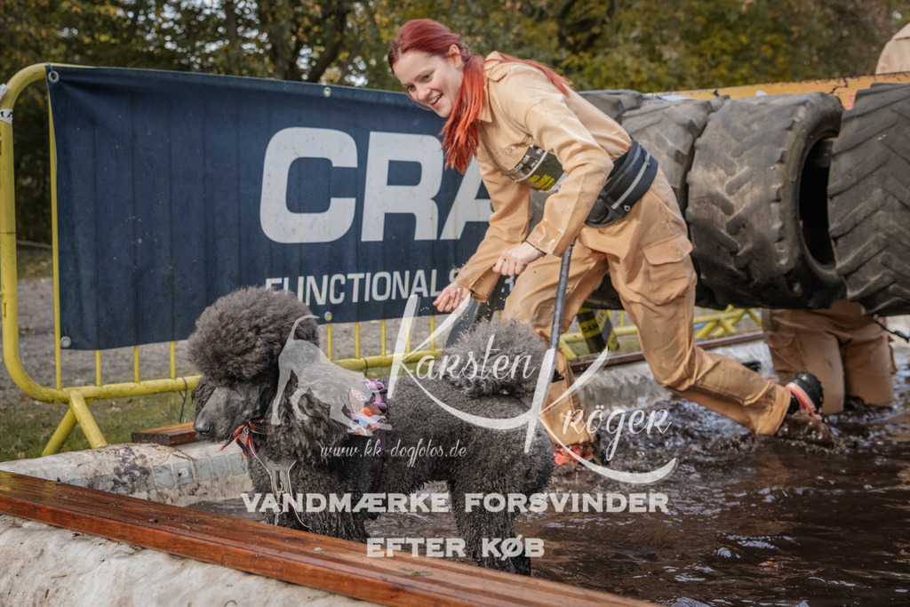 1431_ZZ94609 | kk-dogfotos