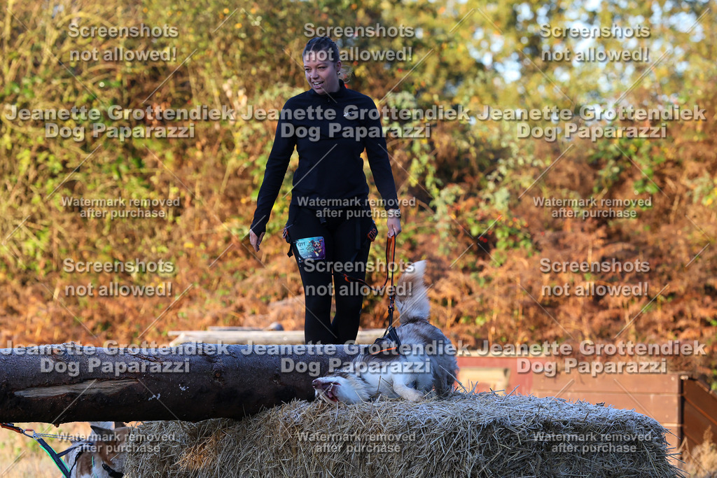 Dog Paparazzi - Strongdog 10-25-473 | Dog Paparazzi Jeanette Grottendiek Fotografie & Videografie - Realisiert mit Pictrs.com