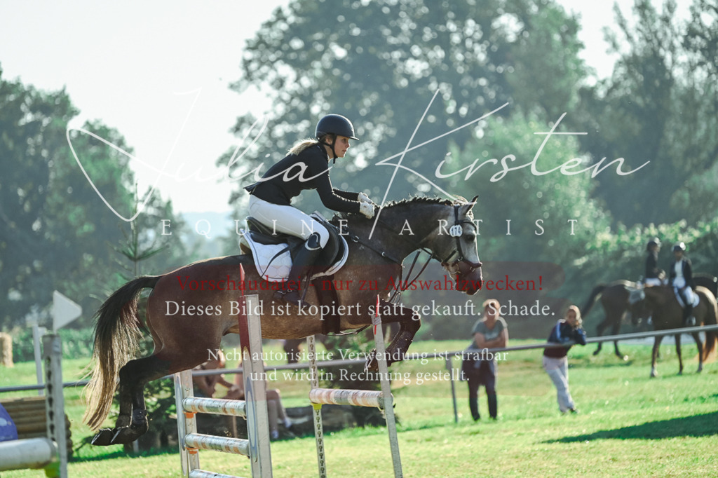 DSC_4453 | Pferde- und Turnierfotografie in Westsachsen. Pferdeportraits, Auftragszeichnungen und intuitive Kunst.