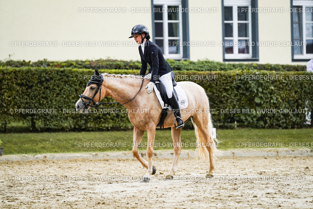 DSC06835 | Pferdegrafie