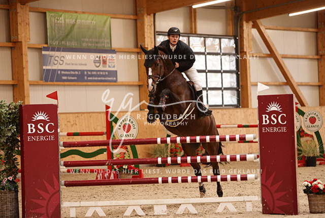 1J2A6492Karl Mattis Krummheuer_ Ascalino 3_ Kn016_ Glantz_ Hohen Wieschendorf | Foto- und Videografie für alles rund ums Pferd. Hochwertige Bilder und Videos vom Spring- und Dressurreiten, Voltigieren & mehr. Jetzt aktuelle Veranstaltungen und Preise im Shop ansehen. - Realisiert mit Pictrs.com