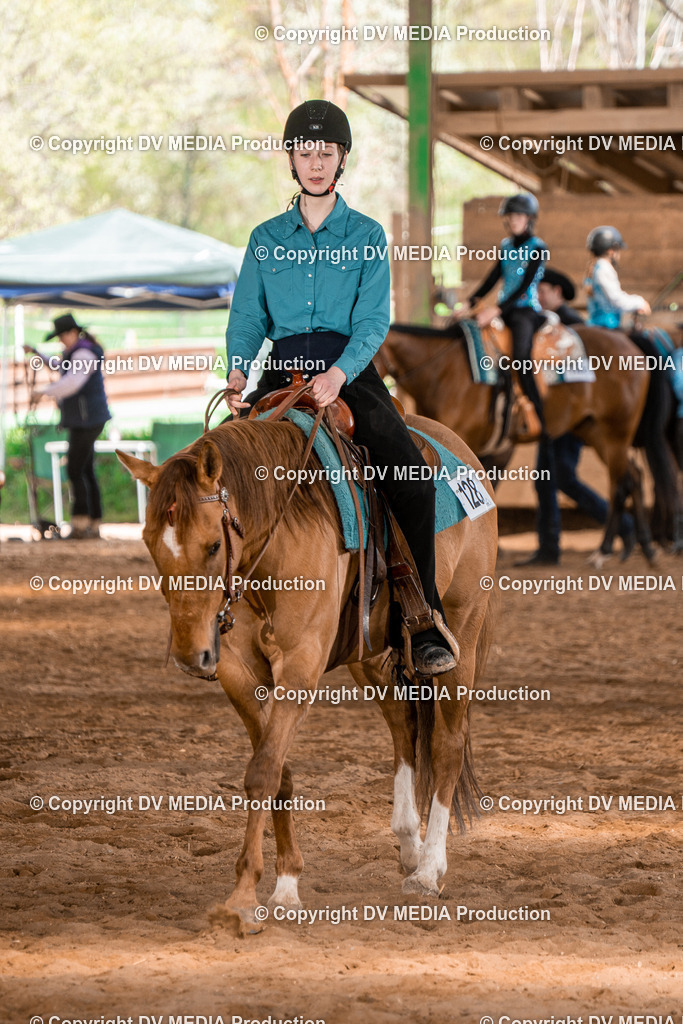 BAL02294 | dv-media-shop - Realisiert mit Pictrs.com