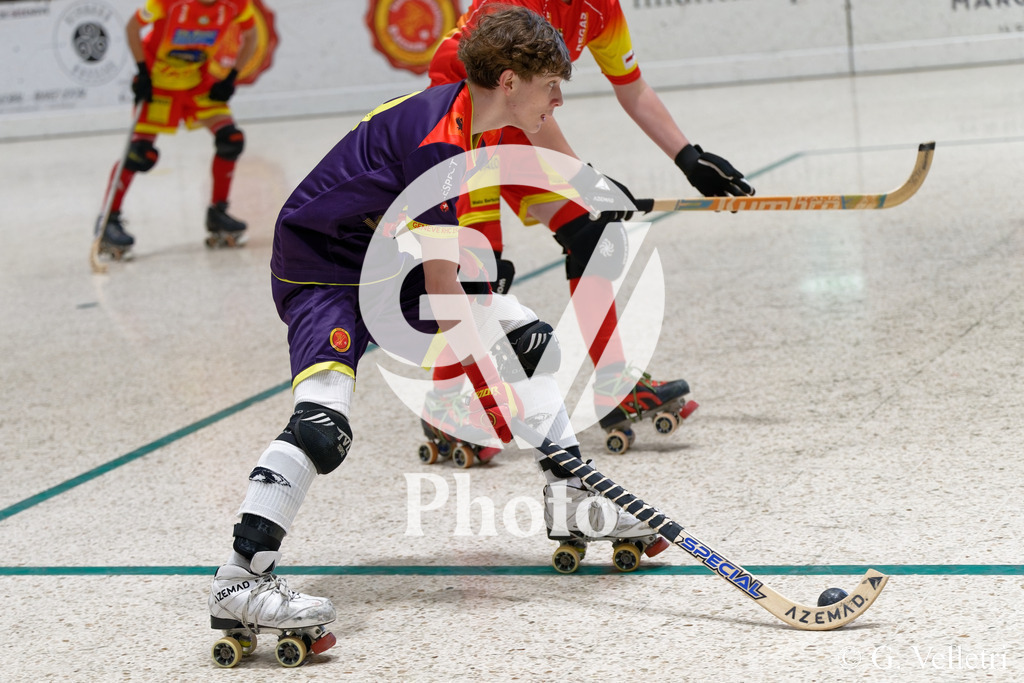 DSC_6353 | Velletri Photo