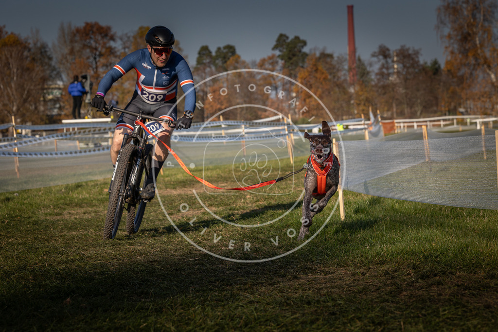 CaniXpix_0L8A6692 | Hundefotografie, Tierfotograf, Pfotenfotografie, Fotoshooting Hund, Hunde Portrait, Hundesport, Hundeportraits, Heideshooting, Hunde, Sportfotograf, Hundefotograf, Turnierhundsport, THS,  - Realisiert mit Pictrs.com