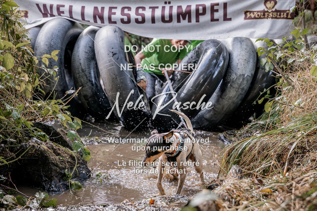 nelerasche_Hunsrück2026_Sa1400-1500_82 | nelerasche