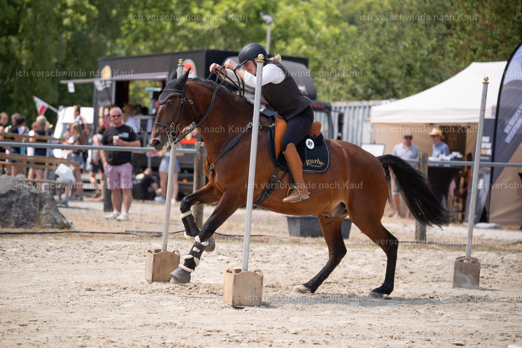 WM_SP_97_Stoibphotography_SO18762 | working equitationturnier fotograf videograf stoibphotography marixx film working equitation deutschland reitsport turnierfotografie eventfotografie equestrian events