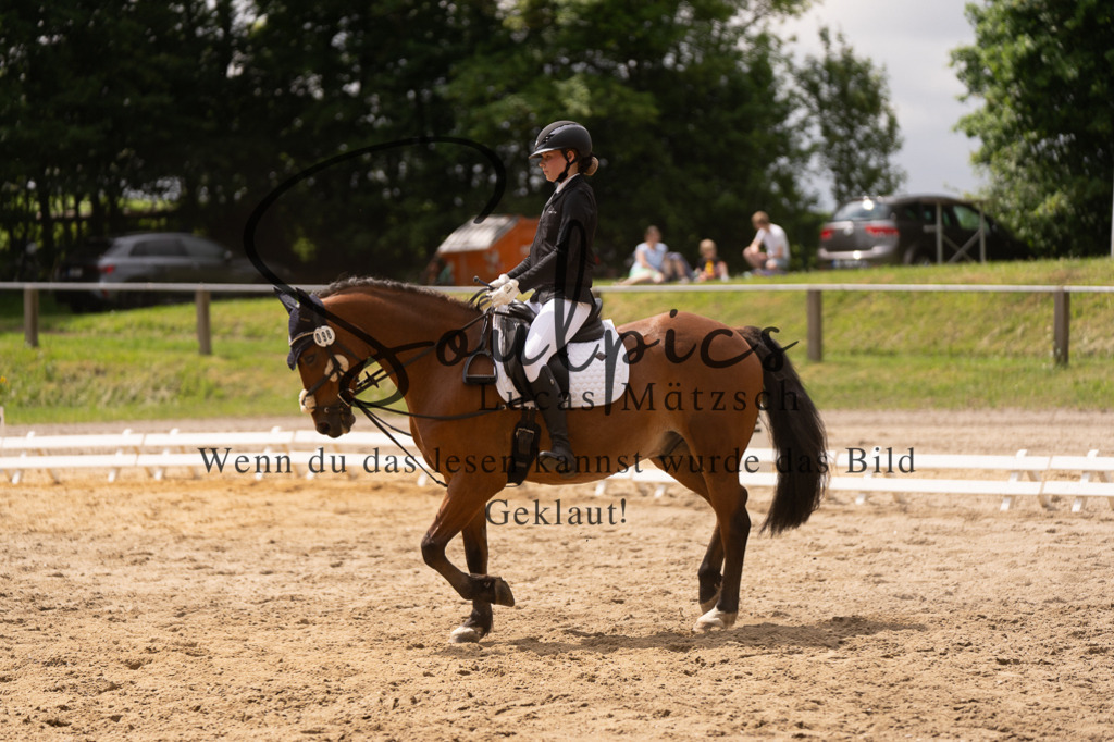 A7505932 | Turnier/Reitfotograf