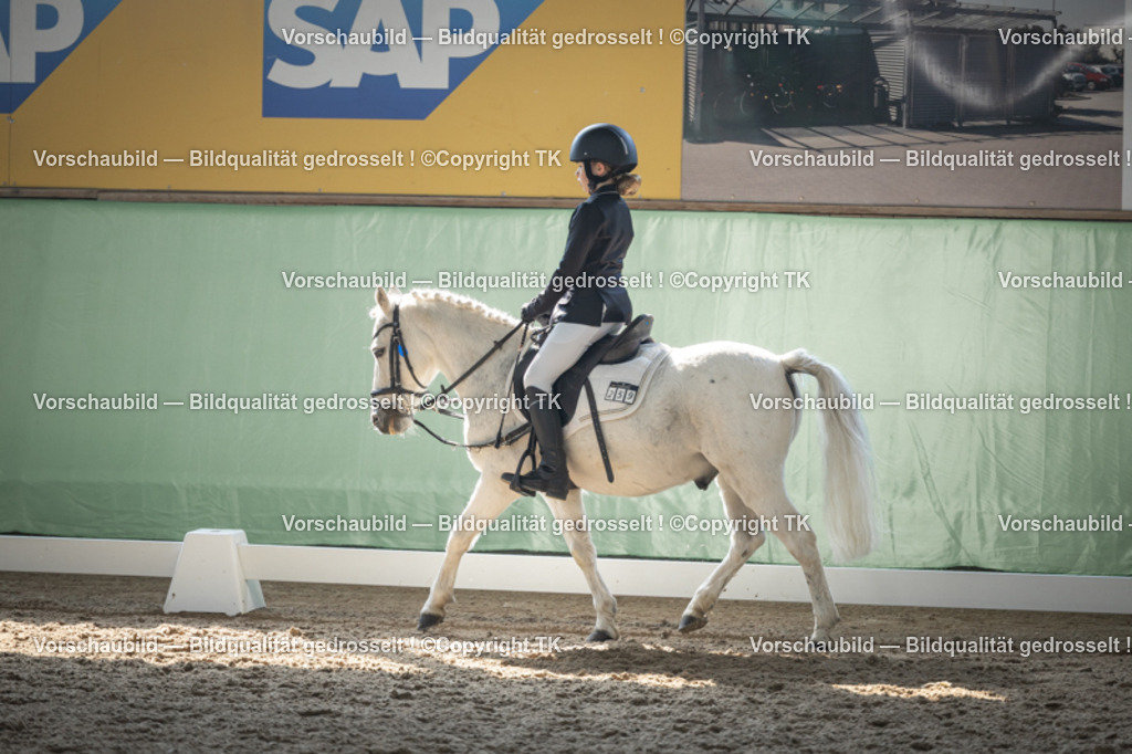 _D5A8707 | Emotionale Pferde- & People-Fotografie rund um Heidelberg, Leimen & Umgebung. Natürliche Fotos von Pferd, Mensch & Familie. Jetzt Termin sichern!