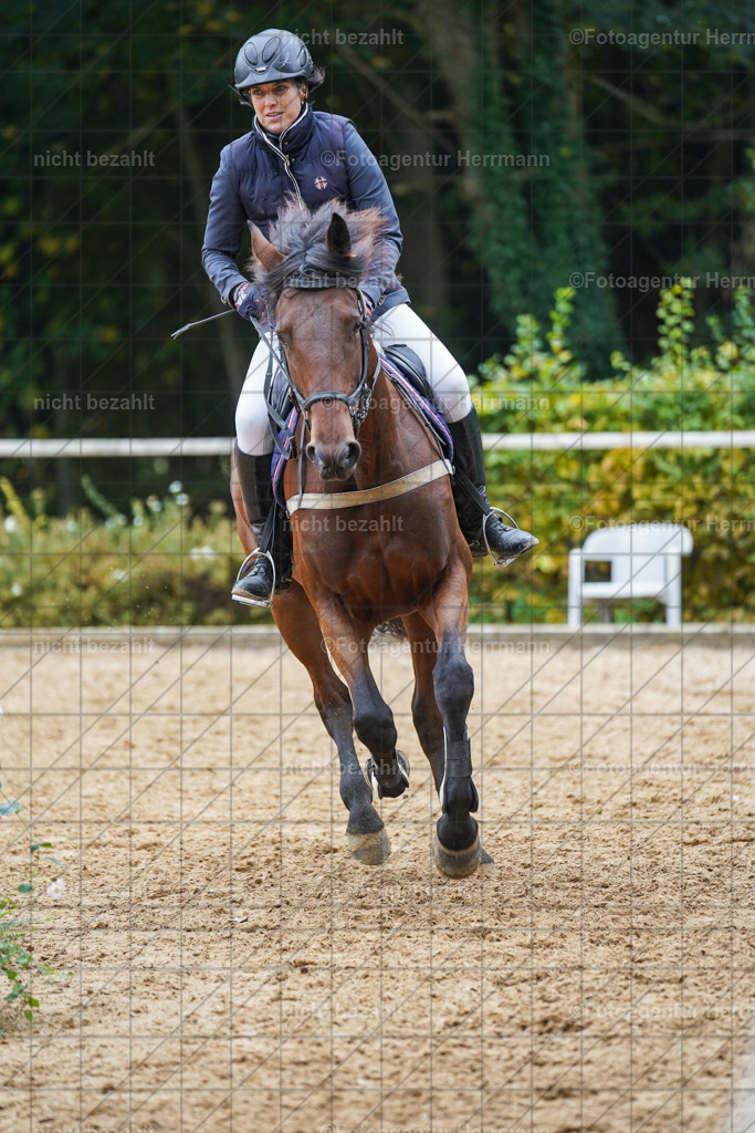 20221009-FAH08834 | Diessen am Ammersee, 2022, Dressur- und Springturnier, Reitsportbilder, Turnierfotografen Bayern, Pferdefotografen, Fotoagentur Herrmann, Turnierbilder