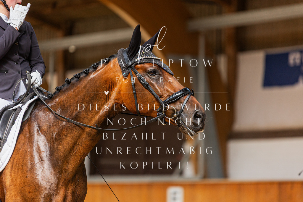 IMGM5113 | pl-fotografie