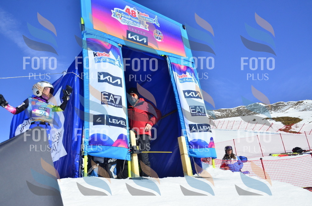 _ELE9637 | holidayphoto