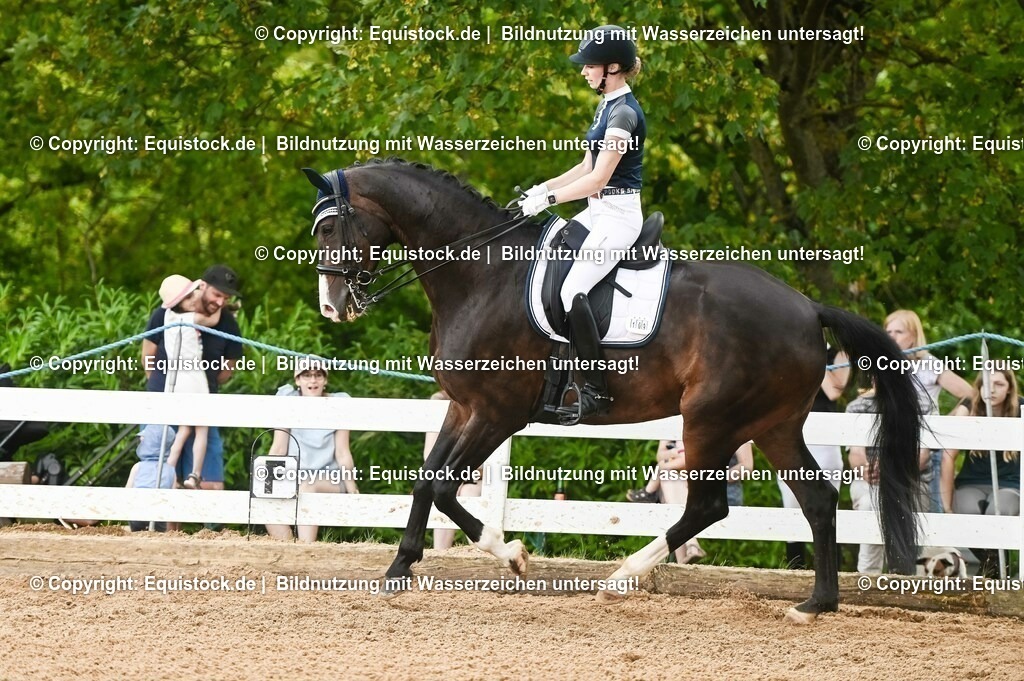 20230716_01_Dressurprüfung Kl.M_0490 | equistock