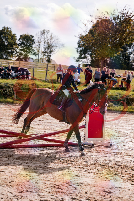 2026_10_03_Siefer-Hof_143754_Z81_07002777 | Professionelle Reitsport-, Turnier- und Eventfotografie von Robert Broda. Galerien mit ausgewählten und bearbeiteten Bildern direkt online ansehen und bestellen.