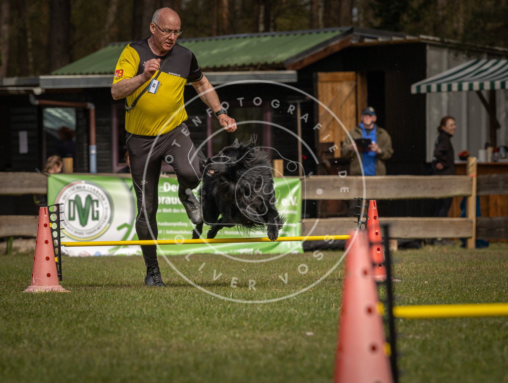 Pfotenfotografie_DV3A7017 | Hundefotografie, Tierfotograf, Pfotenfotografie, Fotoshooting Hund, Hunde Portrait, Hundesport, Hundeportraits, Heideshooting, Hunde, Sportfotograf, Hundefotograf, Turnierhundsport, THS,  - Realisiert mit Pictrs.com