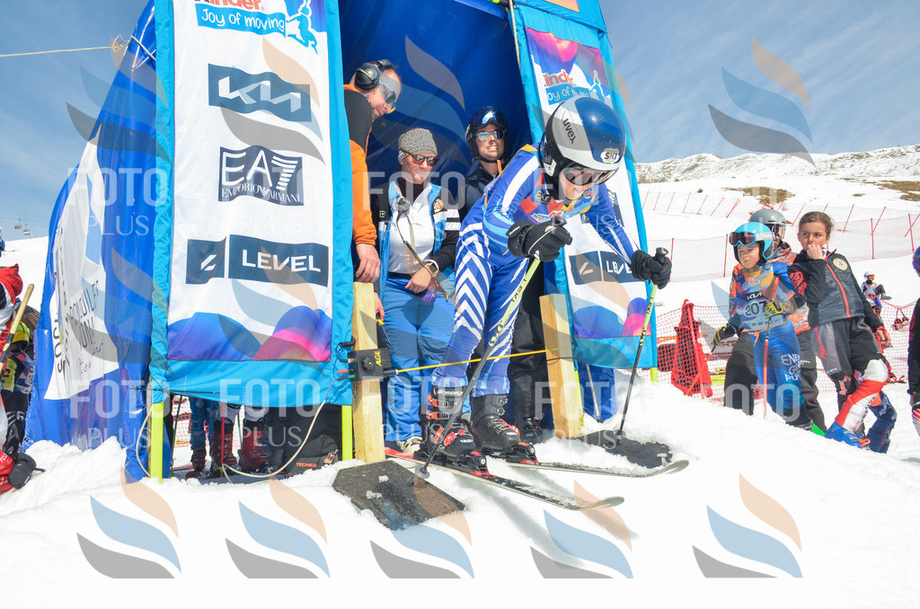 _ELE6497 | holidayphoto