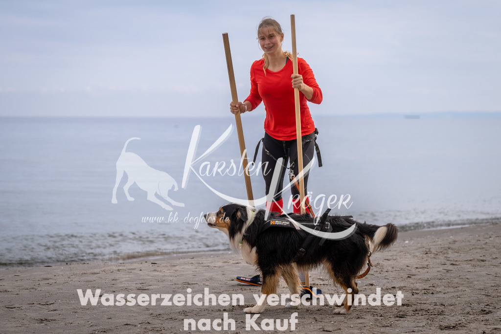 1213_ZZ90446 | kk-dogfotos