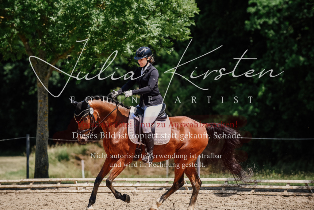 DSC_1895 | Pferde- und Turnierfotografie in Westsachsen. Pferdeportraits, Auftragszeichnungen und intuitive Kunst.