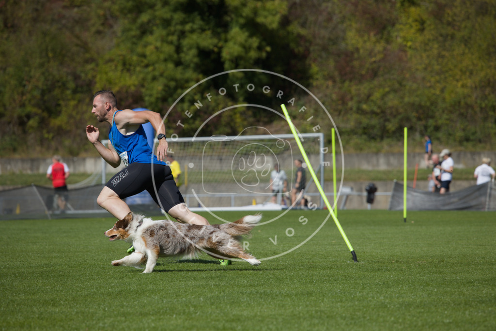 0L8A6273 | Hundefotografie, Tierfotograf, Pfotenfotografie, Fotoshooting Hund, Hunde Portrait, Hundesport, Hundeportraits, Heideshooting, Hunde, Sportfotograf, Hundefotograf, Turnierhundsport, THS,  - Realisiert mit Pictrs.com