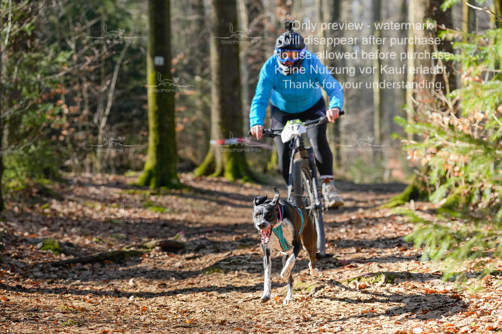 Bike_So-78 | stephaniefillaphotographie - Realisiert mit Pictrs.com