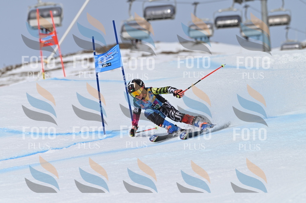 BGV_4529 | holidayphoto